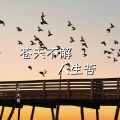 衫大哥 - 苍天不解人生苦