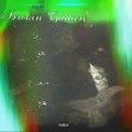 Broken Guitars (Explicit)
