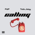 PDF、Tiidii_boy - Calling