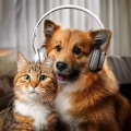 Harmonious Pets: Music for Companion Serenity