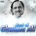 ghulam ali - Safar Mein Ho To