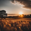Ambient Music for Deep Relaxation