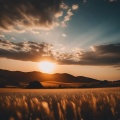 Mind Mining、Relaxing Soul Music Orchestra、Relaxing Sounds - Vibes Foster Utmost Peace