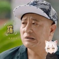 踹 (懒羊羊版)