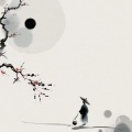南沐云 - 生命不止