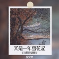 又是一年雪花起 (氛围律动版)