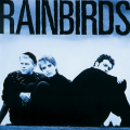 rainbirds - Blueprint