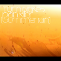 turin brakes - Pain Killer