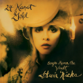 Stevie Nicks - If You Were My Love