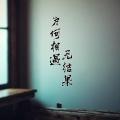 为何相遇无结果