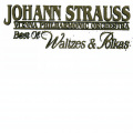 J. Strauss: Best of Waltzes & Polkas