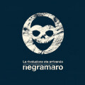 Negramaro - Fino alla fine del secolo