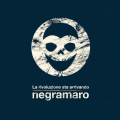 Negramaro - Fino alla fine del secolo