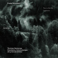 thomas demenga、Hansheinz Schneeberger、Jörg Ewald Dähler - Schubert: Piano Trio No. 2 in E-Flat Major, D. 929: II. Andante con moto