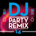 DJ Party Remix, Vol. 14
