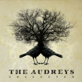The Audreys - Anchor