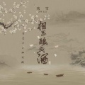 DJ阿伯（陈旭伯） - 相思酿成酒 (大邑DJ珈寺(陈旭伯) remix)