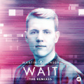 Wait (VIP Mix)