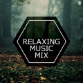 Linne、Starix - Belong