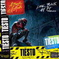 Look Back at It (Tiesto and SWACQ Remix|Explicit)