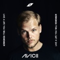 Avicii - Wake Me Up (Radio Edit)