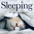 郎朗 - Children's Album, Op. 39, TH 141 - No. 21, Sweet Dreams