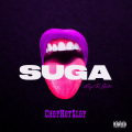 Suga Intro (Chopnotslop Remix|Explicit)