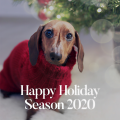 Klemen Slakonja - We Wish You A Merry Christmas