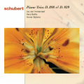 jos van immerseel、vera beths、anner bylsma、Franz  Schubert - I. Allegro moderato