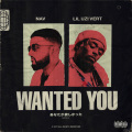 Wanted You (Explicit)