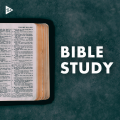 Bible Study