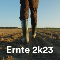 die jungen zillertaler - Das Beste am Sonntag