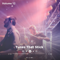 Tunes That Stick Vol 12 (Explicit)