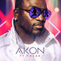 Amirror、Akon - One and Only