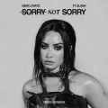 Sorry Not Sorry (Rock Version|Explicit)