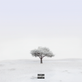 Amigos (Explicit)