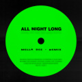 All Night Long (Mella Dee Wigged Out Mix)