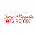 Spicy Margarita (A7S Remix)