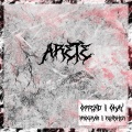 Arete - Program