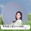 苹果香又香 (DJ小刚版)