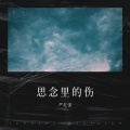 严红强 - 思念里的伤