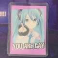 You Are Gay (feat. Hatsune Miku)