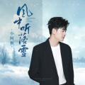 DJ阿兵、小阿枫 - 风中听落雪DJ版