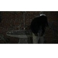 Abu!!! - I95