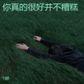 牛油果 - 你真的很好并不糟糕