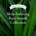 眠れる雨音コレクション