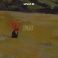 sugar 15 - paso