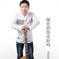 龙东海 - 现在的你还好吗