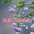 往事不堪回首（男版）