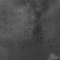 anatu、Fyfe Dangerfield - this time